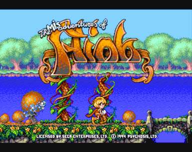 While called Flink, the game is really called The Misadventures of Flink.